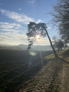 Fotografia z Karl Hermann na trase