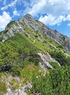 Fotografia z Dagmar Hofer na trase