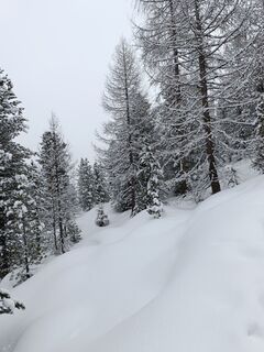 Foto de Claudio Bonin a lo largo del recorrido
