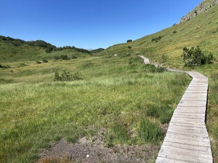 Weg über die Moorflächen am Wiegensee