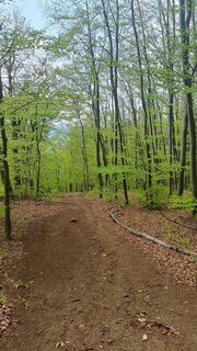 Foto von Michaela Burger entlang der Tour
