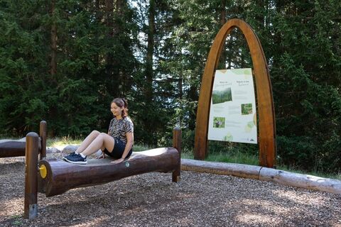 Natur im Gleichgewicht