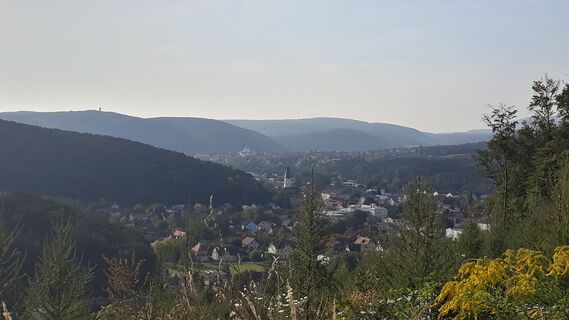 Blick auf Pottenstein