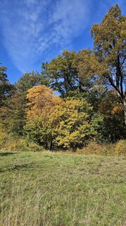 Fotografia z Robert8992 na trase