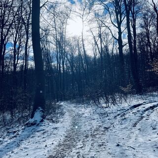 Foto de Bacskai János a lo largo del recorrido