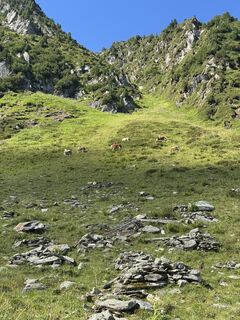 Foto de Roy Klemm a lo largo del recorrido