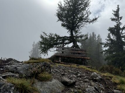 Foto von andi.Laemmerer entlang der Tour
