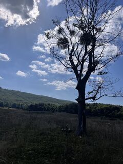 Foto von Konrád Kékesi entlang der Tour