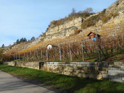 Benninger Weinberge