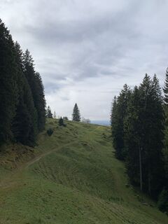 Fotografija s spletne strani Andreas Werner 3 na poti