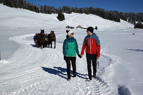 Winterwandern am Hochhäderich