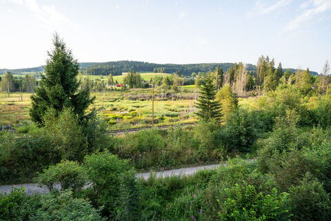 Moor zwischen Titisee und Hinterzarten