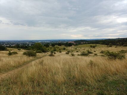 Fotografia z Tom Theuer na trase