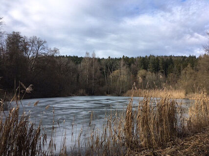 Weiher beim Kloster Kirchberg