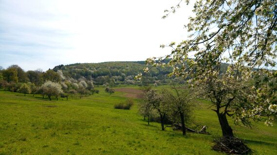 Breitenstein