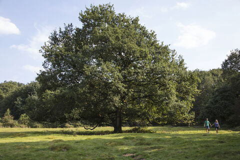 Spaziergänger unterwegs im Borkener Paradies