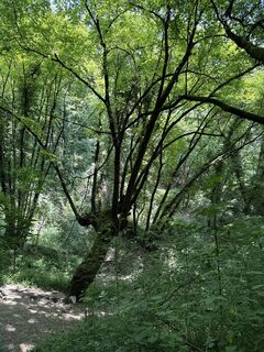 Foto von Hans-Dieter Emil entlang der Tour