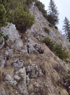 Fotografia z Steffen Weibrecht na trase