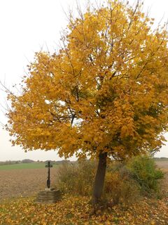 Foto von Karin Steindl entlang der Tour
