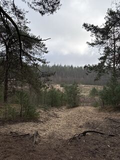 Fotografia z Babita na trase