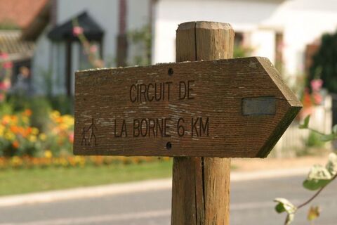 grüne Ader_3_Bacouel sur Selle_Somme_Picardie