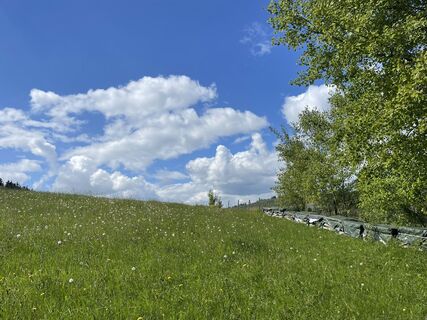 Foto von Olaf Mönig entlang der Tour