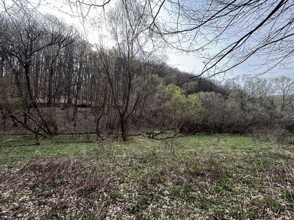 Foto de Reti Alicia a lo largo del recorrido