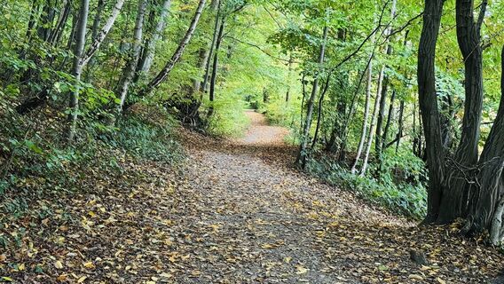 Fotografia z Christian Arndt 1 na trase