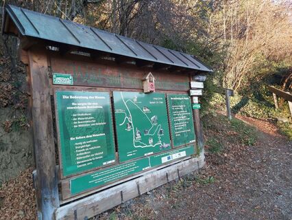 Einstieg zum Bienenlehrpfad Passail, Naturpark Almenland in der Oststeiermark