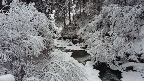 Höllweg Thomatal