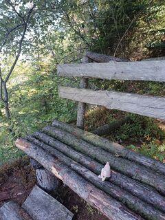 Photo de Edith K. le long du parcours