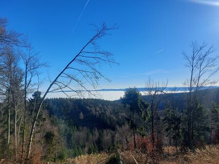 Zdjęcie z Karin Svozil wzdłuż trasy