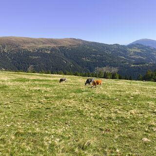 Foto von Peter Springer 1 entlang der Tour