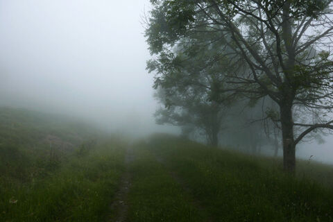 Etp25_2023-06-29_090020_P1140001