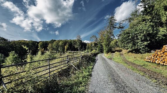 Fotografija s spletne strani Klaus Tillmanns na poti