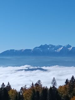 Fotografia z Jarosław Buczek na trase