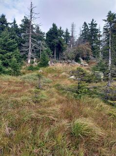 Foto från M.Suntrup under resans gång