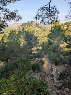 Photo de michael arnold 3 le long du parcours