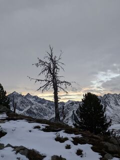 Photo de Martin Glaser le long du parcours