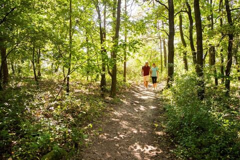 Wald- und Weinweg