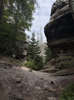 Foto van KWagner langs de tour