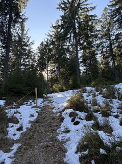 Fotografia z Reinhard Frewein na trase