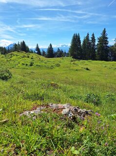Foto van Dagmar Hofer langs de tour