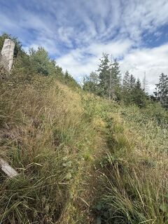 Photo de Manfred Dirks le long du parcours