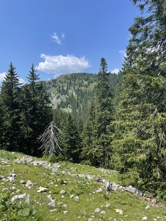 Fotografie z voeslauer na trase