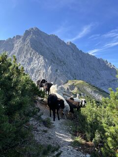 Foto de Jakub  Knapp  a lo largo del recorrido