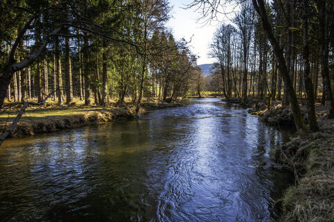 Photo de guenschi10 le long du parcours