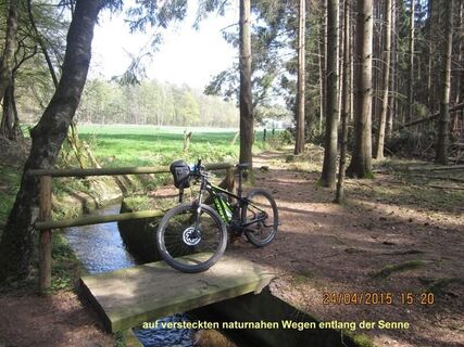 Auf kleinen Pfaden durch den Randbereich der Senne
