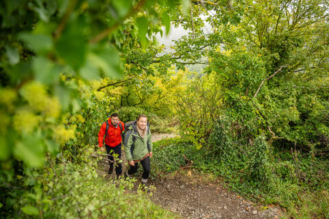 Wanderung durch die Ahrschleife