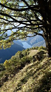 Photo de manu le long du parcours